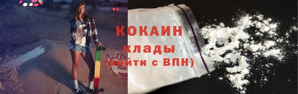 a pvp Бородино