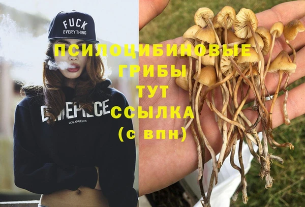 спайс Бугульма