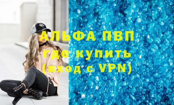 a pvp Бородино