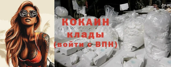 a pvp Бородино