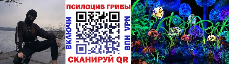 Купить  Судак  Псилоцибиновые грибы Magic Shrooms 